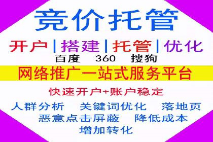 SEM代运营服务公司案例分析：数据驱动营销策略